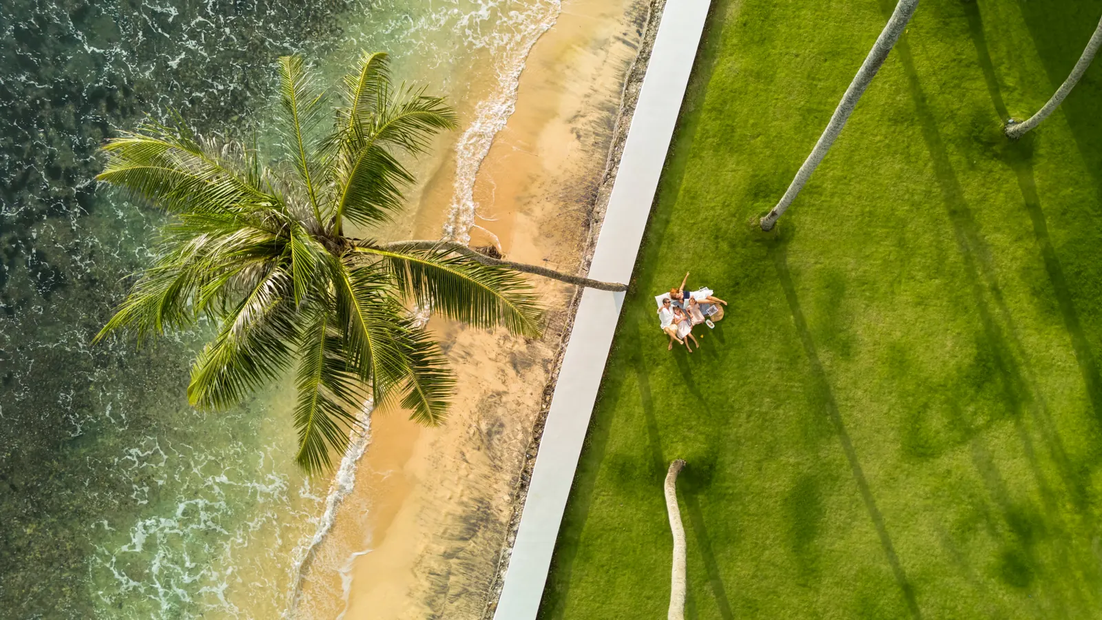 Top-down drone shot of a palm tree leaning over a sandy beach next to a resort lawn where two people sit on a blanket